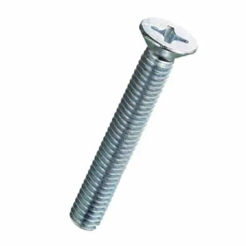 BULLONE T/S 6X70