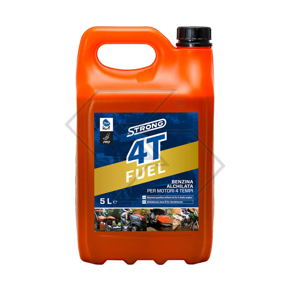 BENZINA ALCHILATA 4T STRONG