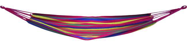 AMACA MULTICOLORE
