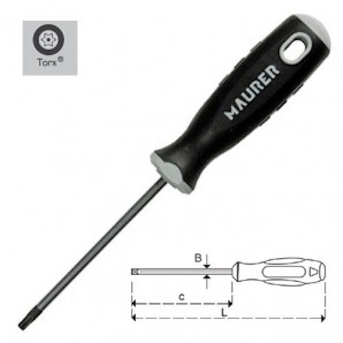 CACCIAVITE TORX 10